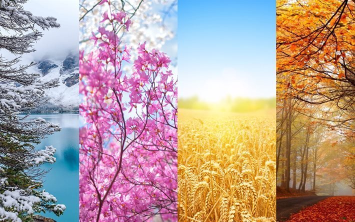 four seasons, seasons, winter, spring, autumn, summer, 4K