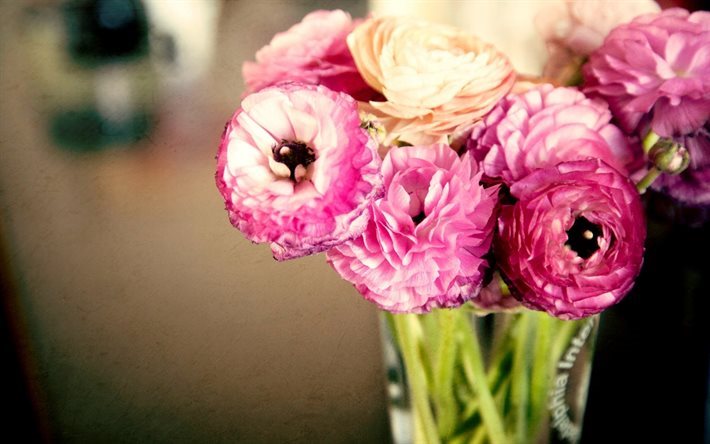 sm&#246;rblommor, bukett, rosa blommor, knoppar, ranunculus
