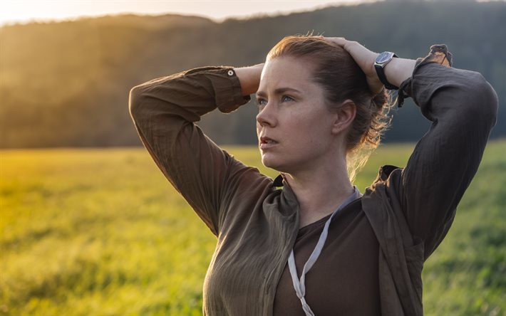 Arrival, 2016, Amy Adams, Why are they here