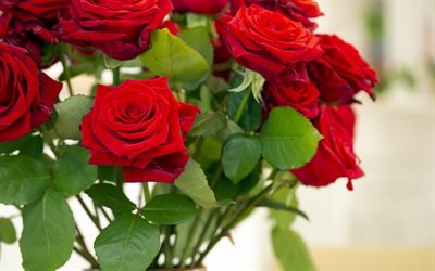red roses bouquet, background with roses, red flowers, roses, beautiful flowers