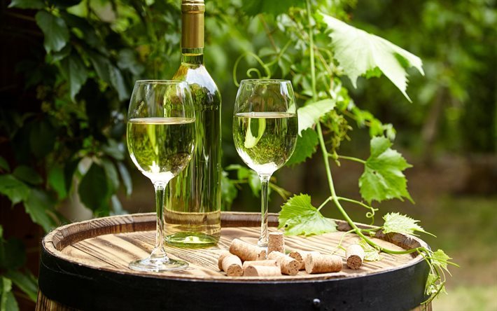 white wine, glasses with wine, grapes, wine