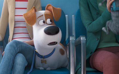 The Secret Life of Pets 2, 2019, poster, promo, screenshots, new cartoons, 3d dog