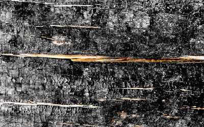 4k, fond en bois gris, gros plan, texture en bois horizontale, planches de bois, arri&#232;re-plans en bois, arri&#232;re-plans gris, textures en bois