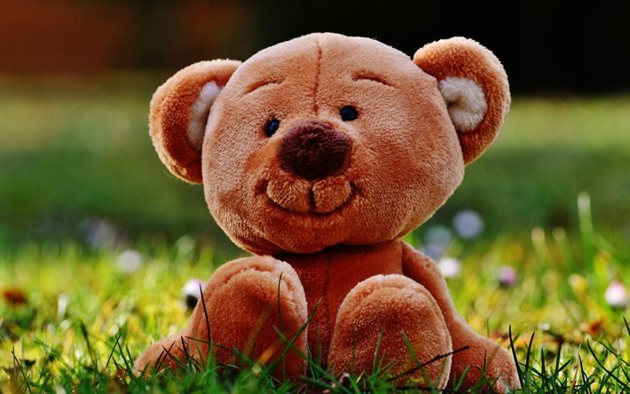 teddy bear, 4k, pink bear, cute toy