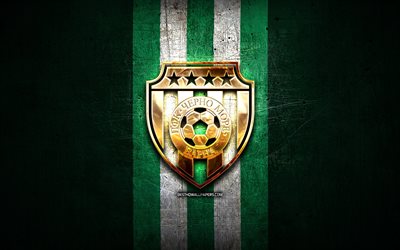 チェルノモアヴァルナfc, 金色のロゴ, パルバリガ, 緑の金属の背景, フットボール, ブルガリアのサッカークラブ, chernomorevarnaのロゴ, サッカー, pfkチェルノモレヴァルナ