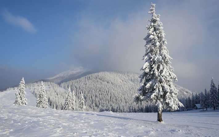 invierno, monta&#241;as, nieve, bosque, monta&#241;a, paisaje de invierno