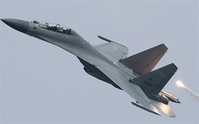 Shenyang J-16, chinese fighter, combat aircraft, PLAAF, J-16, Peoples Liberation Army Air Force, China