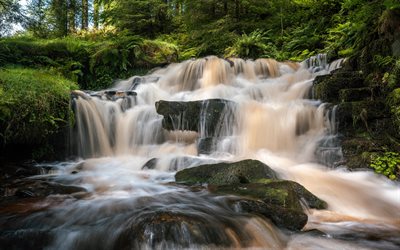 vattenfall, djungel, berg, gr&#246;n skog, bergsflod, bergsvattenfall, kv&#228;ll