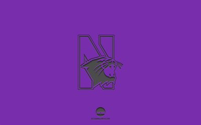 Northwestern Wildcats, purple background, American football team, Northwestern Wildcats emblem, NCAA, Illinois, USA, American football, Northwestern Wildcats logo