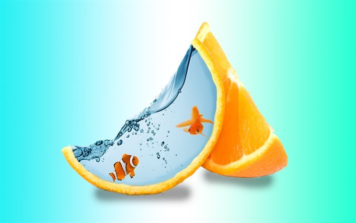 laranja, cravo-da-&#237;ndia, peixinho, criativo