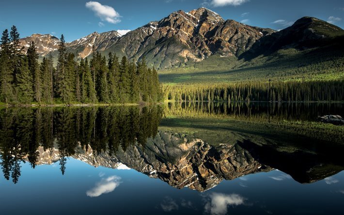 Jasper National Park, reflection, forest, lake, mountain, Alberta, Canada