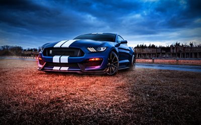 Ford Mustang Shelby GT500, 4k, offroad, 2020 cars, supercars, muscle cars, 2020 Ford Mustang, tuning, Ford