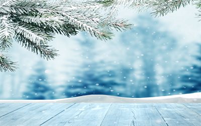 4k, snowy fir-tree branch, winter, blurred blue background, snowfall, snowy forest, winter frames, winter backgrounds