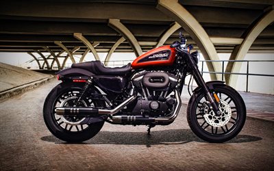 Harley-Davidson Sportster XL1200CX Roadster, 4k, sidovy, 2021 cyklar, amerikanska motorcyklar, Harley-Davidson