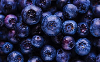 blueberries, 4k, ripe berries, macro, berries texture, background with blueberries, food texture, blueberry texture
