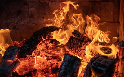 burning wood, fire in the fireplace, bonfire, flames, fire concepts, fire