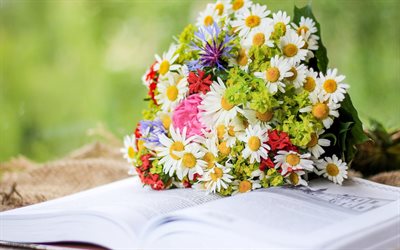 bouquet of wildflowers, bouquet with daisies, flowers on a book, a beautiful bouquet, daisies, wildflowers