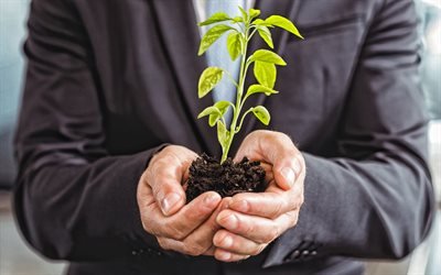 緑の新芽の, 成長の概念, 投資の概念, ビジネスマン, ビジネス, 緑の新芽