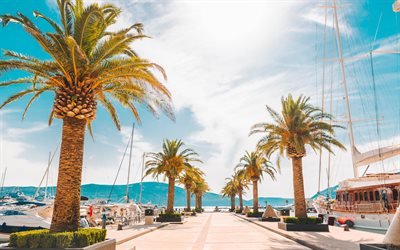 Tivat, Bay of Kotor, Montenegro, summer, palm trees, resorts, tourism to Montenegro, summer travel, the Mediterranean Sea, resorts of Montenegro