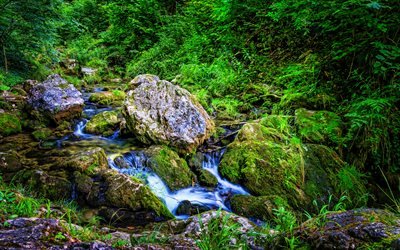 Muggendorf, 4k, HDR, forest, beautiful nature, stream, moss, Austria, Europe