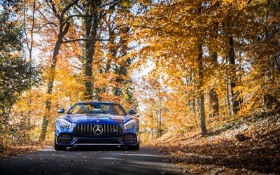 4k, Mercedes-AMG GT C Roadster 2018 cars, autumn, supercars, Mercedes
