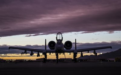 Fairchild-Republic A-10 Thunderbolt II, american attack aircraft, military airfield, evening, sunset, USAF, combat aircraft, USA