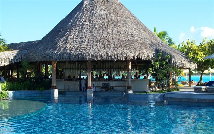 tropical island, hotel, swimming pool, bungalows, bar, travel