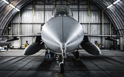 General Dynamics F-16 Fighting Falcon, front view, American fighter, F-16C, Polish Air Force, military aircraft