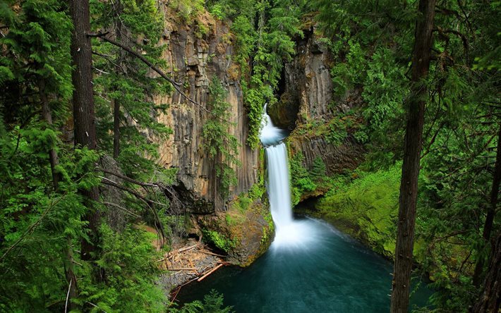 Toketee Falls, forest, cliffs, Oregon, waterfalls, USA, America