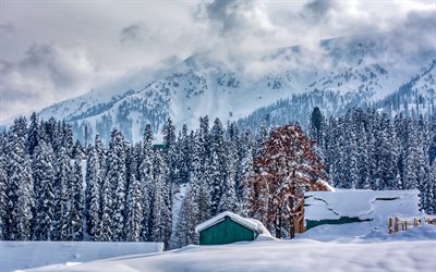 winter, mountain landscape, forest, snow, Alps, snow-covered mountains, fog