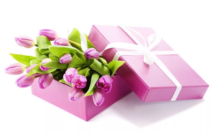 Violetti tulppaanit, kev&#228;t, kev&#228;&#228;n kukat, tulppaanit, lahja