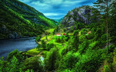 Norge, vacker natur, berg, fjord, Europa, sommar, skogen