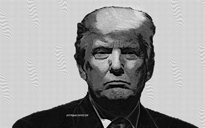 Donald Trump, Retrato, 45 el Presidente de los EEUU, el Arte, el Presidente Estadounidense, estados UNIDOS