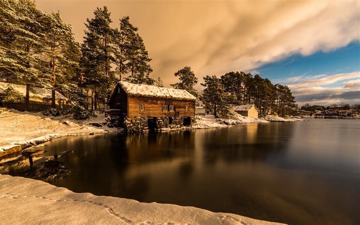 invierno, bosque, costa, Oc&#233;ano Atl&#225;ntico, Alesund Kommune, Noruega, M&#225;s y Romsdal