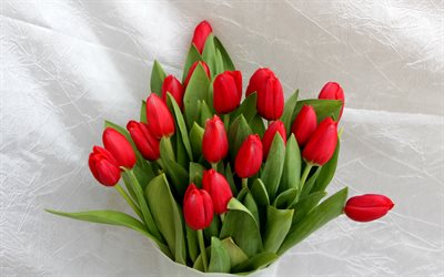 tulipanes rojos, hermoso ramo de flores, flores de la primavera, los tulipanes, el ramo de flores rojas, ramo de flores de primavera