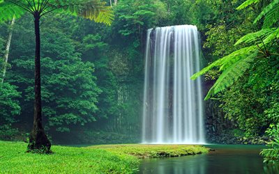 Millaa Falls, summer, beautiful nature, waterfalls, Australia, wild nature