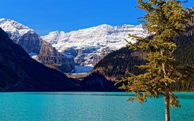 Lake Louise, Banff National Park, glacier lake, emerald lake, mountain landscape, Canada