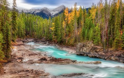 mountain river, forest, cloudy weather, glacial water, mountain landscape, Canada, North America