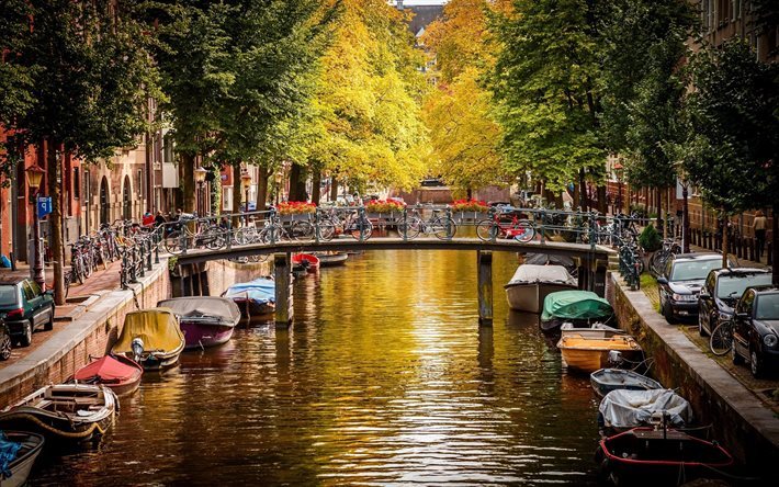 Amsterdam, kanalen, Nederl&#228;nderna, bro, cyklar