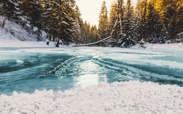 Frozen River, skogen, river, vinter, sn&#246;, Beskidy, Jelesnia, Polen
