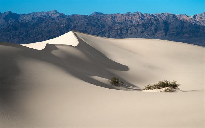 砂漠, 砂, 砂丘, 国立公園, 死の谷, カリフォルニア, 米国