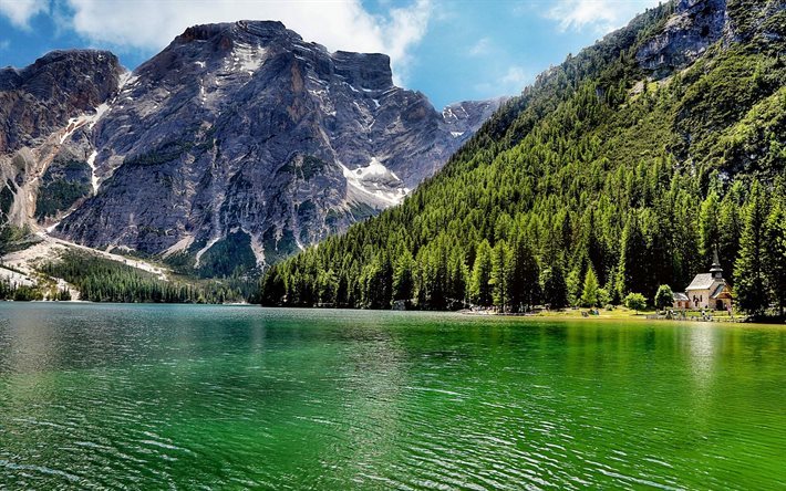 湖Carezza, 夏, 森林, 湖, 山々, イタリア