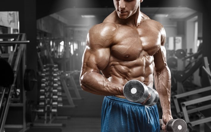 bodybuilding, tr&#228;ning, hantel, abs, biceps, muskler, gym