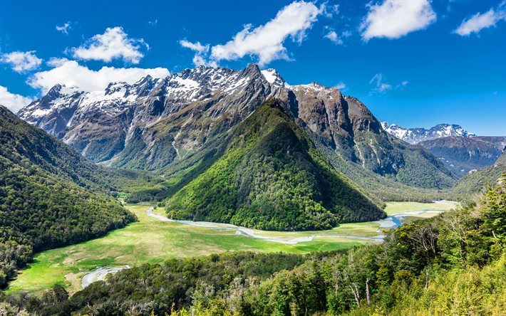 Humboldt Berg, river, skogen, sommar, Nya Zeeland