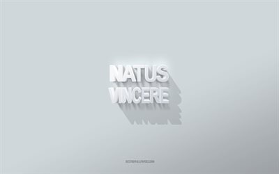 ناتوس فينسيري, خلفية بيضاء, نقش natus vincere ثلاثي الأبعاد, فن ثلاثي الأبعاد, رسائل بيضاء ثلاثية الأبعاد, 3d ناتوس vincere