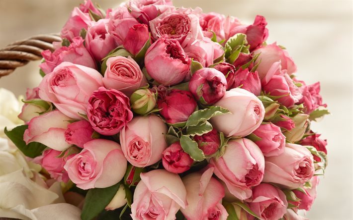 rosas cor-de-rosa, rose bouquet, flores cor de rosa, rosas