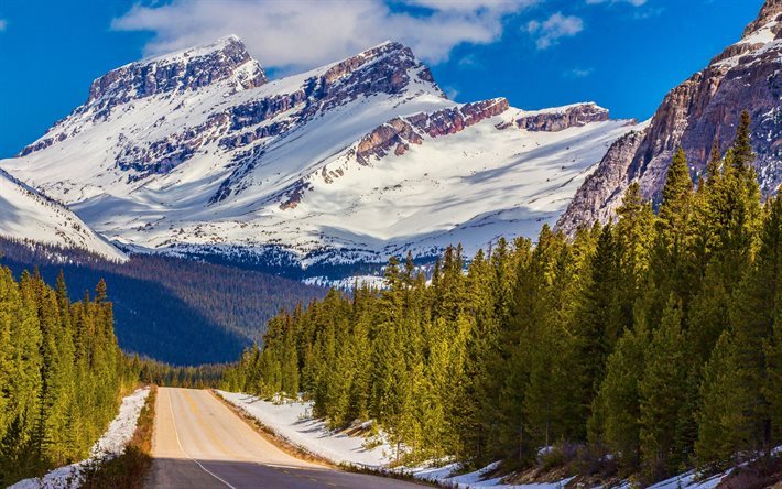 mountain landscape, forest, road, mountain, USA, banff national park