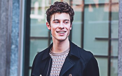 4k, Shawn Mendes, 2020, canadian celebrity, music stars, Shawn Peter Raul Mendes, canadian singer, Shawn Mendes photoshoot