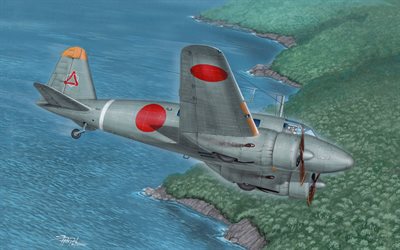 tachikawa ki-54, ijaaf, japanischer kampftrainer, kaiserliche japanische luftwaffe, zweiter weltkrieg, bemalte flugzeuge