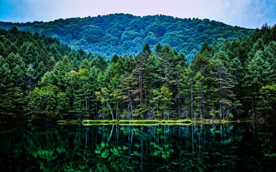 en verano, el lago, el bosque, la reflexi&#243;n, la hermosa naturaleza, colinas
